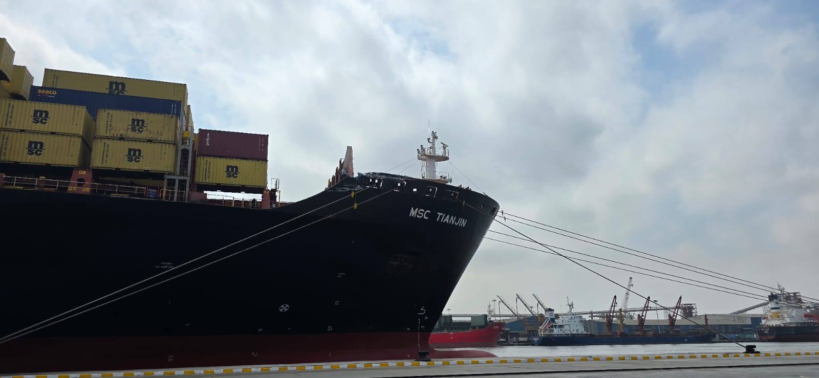 MSC Vessel Incident at Dekheila Port Terminal