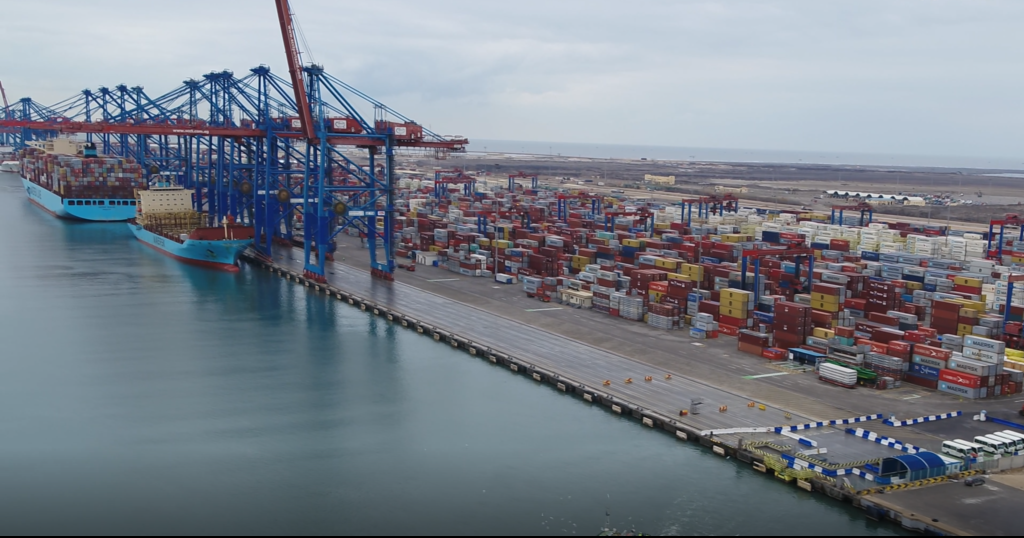 Grape Export Season Drives Launch of New Black Sea Shipping Services from Egypt